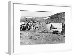 Penguins Listening to the Gramophone During Shackleton's 1907-09 Antarctic Expedition, from 'The…-English Photographer-Framed Giclee Print