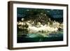 Penguins, Loro Parque, Tenerife, Canary Islands, 2007-Peter Thompson-Framed Photographic Print