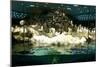 Penguins, Loro Parque, Tenerife, Canary Islands, 2007-Peter Thompson-Mounted Photographic Print