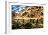 Penguins, Loro Parque, Tenerife, Canary Islands, 2007-Peter Thompson-Framed Photographic Print