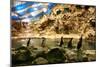 Penguins, Loro Parque, Tenerife, Canary Islands, 2007-Peter Thompson-Mounted Photographic Print