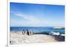 Penguins (Spheniscus demersus), Boulders Beach, Cape Town, Western Cape, South Africa, Africa-Christian Kober-Framed Photographic Print