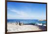 Penguins (Spheniscus demersus), Boulders Beach, Cape Town, Western Cape, South Africa, Africa-Christian Kober-Framed Photographic Print