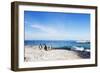 Penguins (Spheniscus demersus), Boulders Beach, Cape Town, Western Cape, South Africa, Africa-Christian Kober-Framed Photographic Print