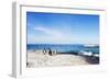 Penguins (Spheniscus demersus), Boulders Beach, Cape Town, Western Cape, South Africa, Africa-Christian Kober-Framed Photographic Print