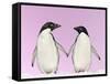 Penguins Two, Holding Hands with Pink Background-null-Framed Stretched Canvas
