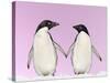 Penguins Two, Holding Hands with Pink Background-null-Stretched Canvas
