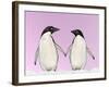 Penguins Two, Holding Hands with Pink Background-null-Framed Photographic Print