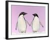 Penguins Two, Holding Hands with Pink Background-null-Framed Photographic Print