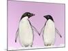 Penguins Two, Holding Hands with Pink Background-null-Mounted Photographic Print