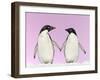 Penguins Two, Holding Hands with Pink Background-null-Framed Photographic Print