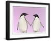 Penguins Two, Holding Hands with Pink Background-null-Framed Photographic Print