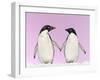 Penguins Two, Holding Hands with Pink Background-null-Framed Photographic Print