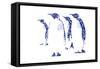 Penguins-Cristian Mielu-Framed Stretched Canvas