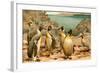 Penguins-F.W. Kuhnert-Framed Art Print