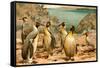 Penguins-F.W. Kuhnert-Framed Stretched Canvas