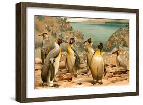 Penguins-F.W. Kuhnert-Framed Art Print