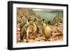 Penguins-F.W. Kuhnert-Framed Art Print