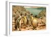 Penguins-F.W. Kuhnert-Framed Art Print