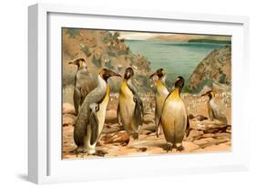 Penguins-F.W. Kuhnert-Framed Art Print