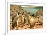 Penguins-F.W. Kuhnert-Framed Art Print