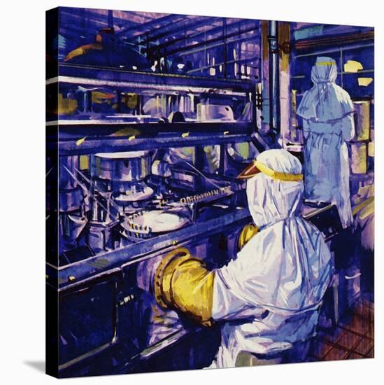 Penicillin Was First Mass Produced in America-null-Stretched Canvas
