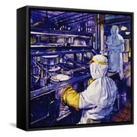 Penicillin Was First Mass Produced in America-null-Framed Stretched Canvas