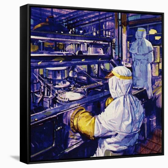 Penicillin Was First Mass Produced in America-null-Framed Stretched Canvas