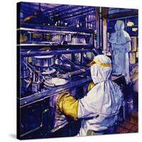 Penicillin Was First Mass Produced in America-null-Stretched Canvas