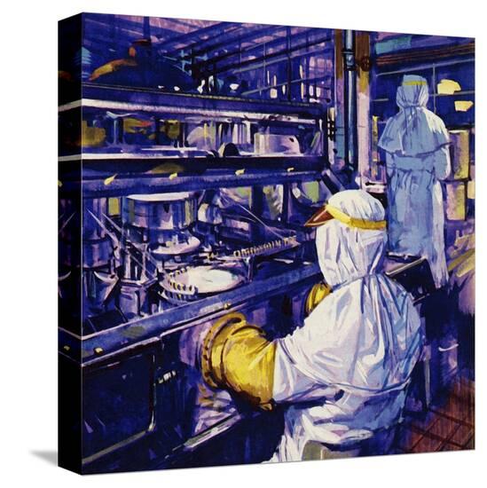 Stretched Canvas Print, , large