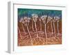 Penicillium, 1948-Isabel Alexander-Framed Giclee Print