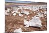 Penitence Snow Formations-Kim Walker-Mounted Photographic Print