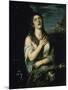 Penitent Magdalene-Titian (Tiziano Vecelli)-Mounted Giclee Print