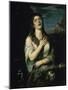 Penitent Magdalene-Titian (Tiziano Vecelli)-Mounted Giclee Print