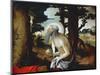 Penitent St Jerome, 1515-1520-Lucas van Leyden-Mounted Giclee Print