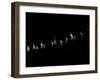 Penitents Participate in Procession of 'Jesus Yacente' Brotherhood, During Holy Week in Zamora-null-Framed Photographic Print