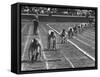 Penn Relay Races, College Students Crouched in Starting Position-George Silk-Framed Stretched Canvas