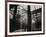 Penn Station, Interior, Manhattan-Berenice Abbott-Framed Giclee Print