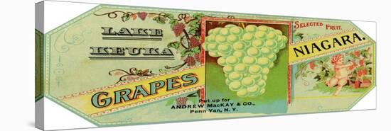 Penn Yan, New York - Lake Keuka Niagara Grapes Label, Laureled Child in Grapes-Lantern Press-Stretched Canvas