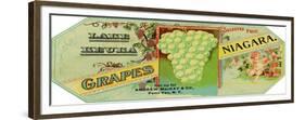 Penn Yan, New York - Lake Keuka Niagara Grapes Label, Laureled Child in Grapes-Lantern Press-Framed Premium Giclee Print