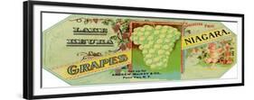 Penn Yan, New York - Lake Keuka Niagara Grapes Label, Laureled Child in Grapes-Lantern Press-Framed Premium Giclee Print