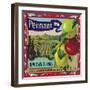 Pennant Brand Apple Label, Watsonville, California-Lantern Press-Framed Art Print