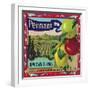 Pennant Brand Apple Label, Watsonville, California-Lantern Press-Framed Art Print