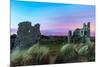 Pennard Castle, Overlooking Three Cliffs Bay, Gower, Wales, United Kingdom, Europe-Billy-Mounted Photographic Print