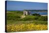 Pennard Castle, Overlooking Three Cliffs Bay, Gower, Wales, United Kingdom, Europe.-Billy Stock-Stretched Canvas