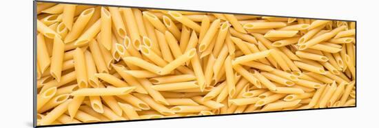 Penne Pasta-Steve Gadomski-Mounted Premium Photographic Print