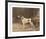 Pennine Prima Donna-Reuben Ward Binks-Framed Premium Giclee Print