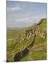 Pennine Way Crossing Near Turret 37A, Hadrians Wall, Unesco World Heritage Site, England-James Emmerson-Mounted Photographic Print