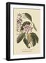 Pennsylvana Lilly - Rhododenron-Mark Catesby-Framed Art Print