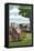 Pennsylvania - Amish Farm Scene-Lantern Press-Framed Stretched Canvas